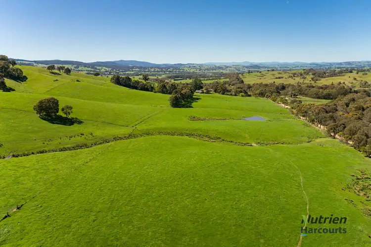 Third view of Homely rural property listing, 520 Shaws Road, Merton VIC 3715