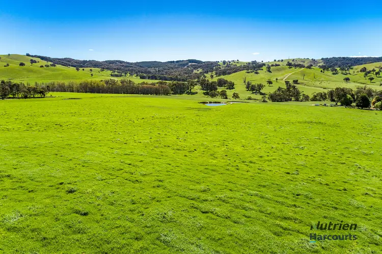 Fourth view of Homely rural property listing, 520 Shaws Road, Merton VIC 3715