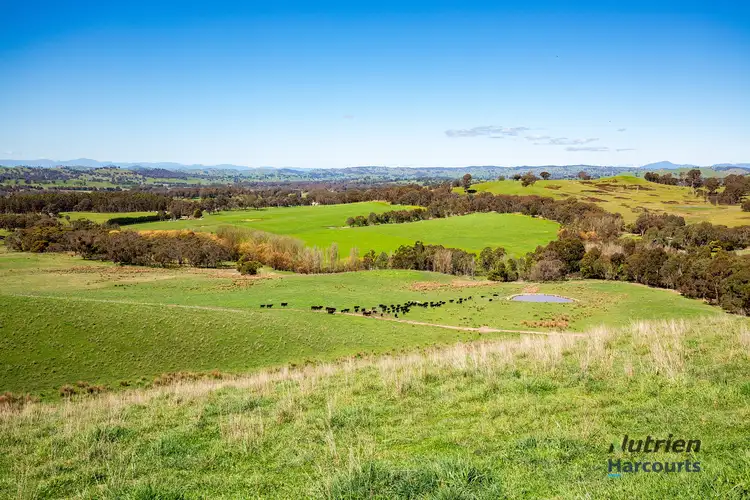 Fifth view of Homely rural property listing, 520 Shaws Road, Merton VIC 3715