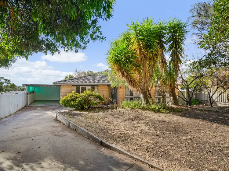 16 Horn Drive
