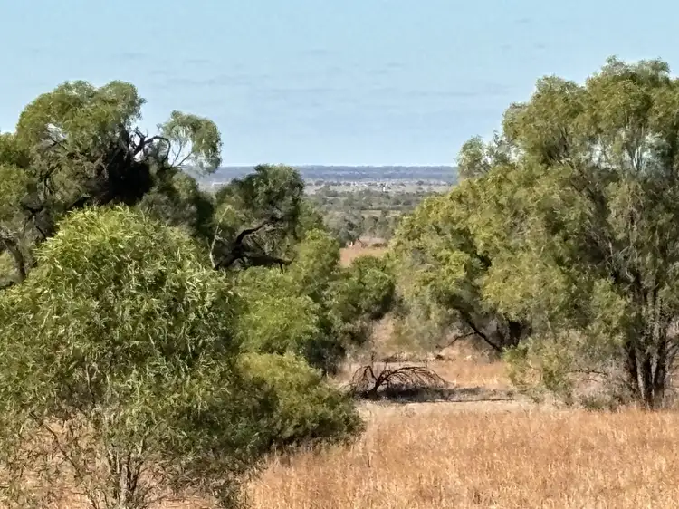 Third view of Homely land listing, Lot 110 Old Coach Road, Blanchetown SA 5357