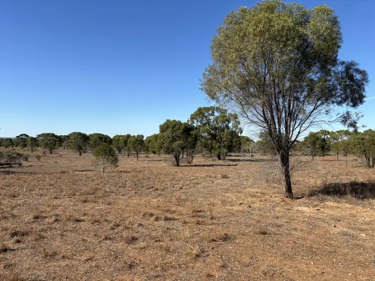 Fourth view of Homely land listing, Lot 110 Old Coach Road, Blanchetown SA 5357