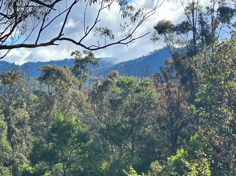 Main view of Homely rural property listing, Lot 34 Top Swanfels Road, Swanfels QLD 4371