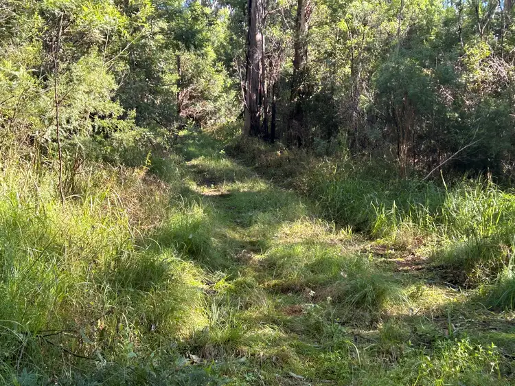Fourth view of Homely rural property listing, Lot 34 Top Swanfels Road, Swanfels QLD 4371