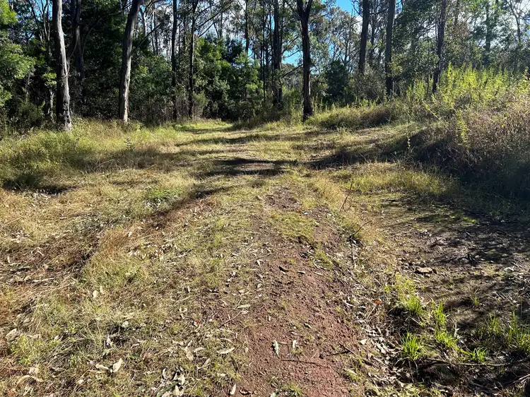 Sixth view of Homely rural property listing, Lot 34 Top Swanfels Road, Swanfels QLD 4371