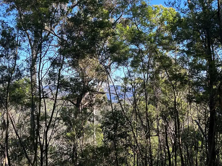 Seventh view of Homely rural property listing, Lot 34 Top Swanfels Road, Swanfels QLD 4371