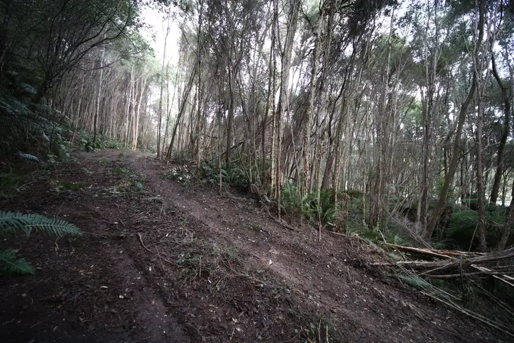 Third view of Homely land listing, 307 Lowana Road, Strahan TAS 7468