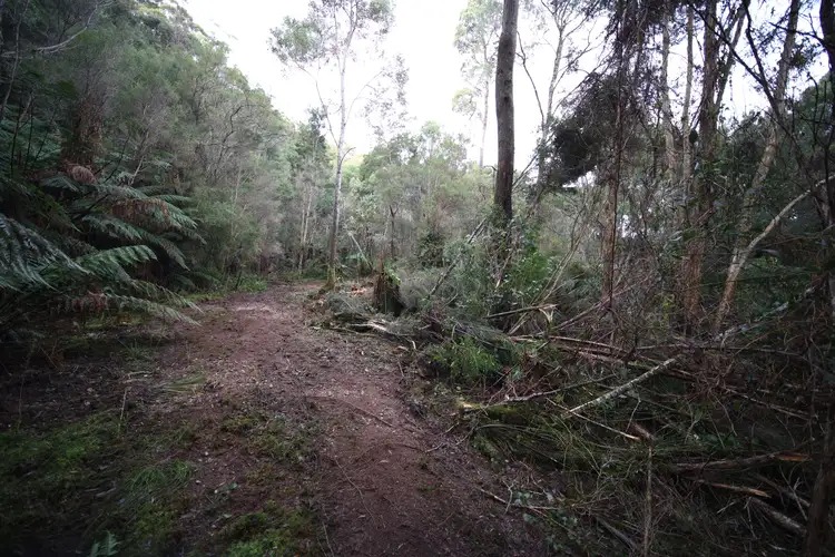Fourth view of Homely land listing, 307 Lowana Road, Strahan TAS 7468