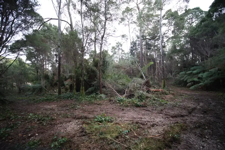 Fifth view of Homely land listing, 307 Lowana Road, Strahan TAS 7468