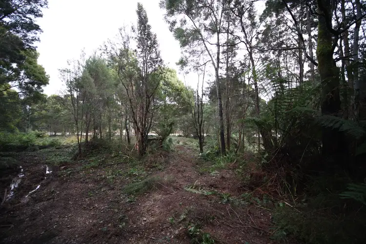 Sixth view of Homely land listing, 307 Lowana Road, Strahan TAS 7468