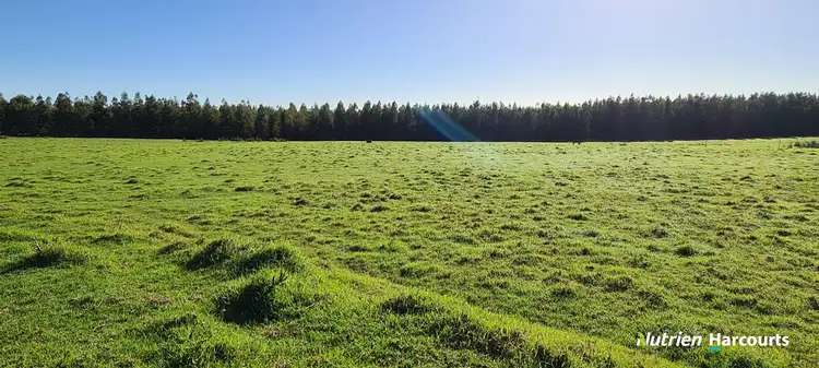 Third view of Homely rural property listing, 1244 Dempster Road, Kalgan WA 6330