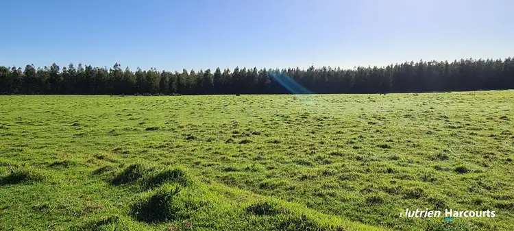 Fourth view of Homely rural property listing, 1244 Dempster Road, Kalgan WA 6330