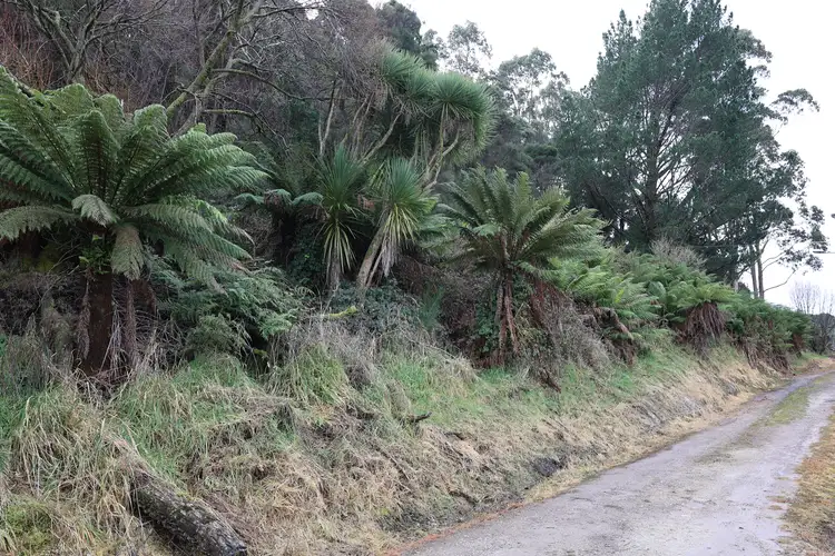 Seventh view of Homely land listing, 16 Smith Street, Zeehan TAS 7469