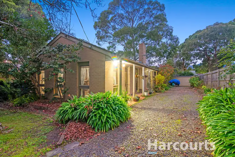 56 Arcadia Avenue, The Basin VIC 3154