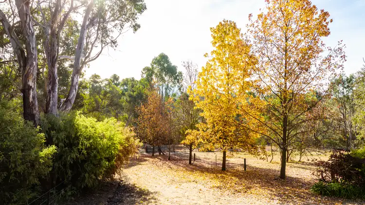 Seventh view of Homely house listing, 281 Osbornes Flat Road, Yackandandah VIC 3749