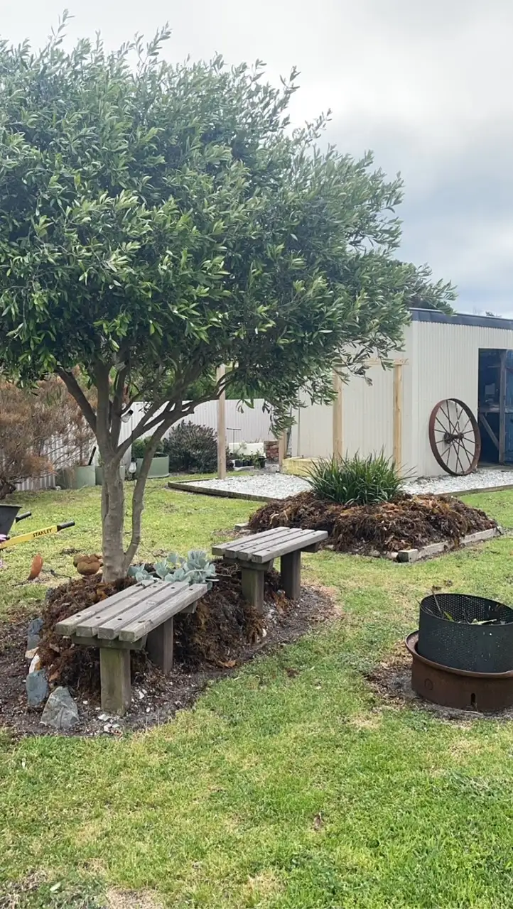 Third view of Homely house listing, 10 Bertram Street, Naracoopa TAS 7256