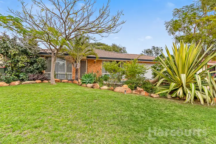 17 Highlander Place, Currambine WA 6028