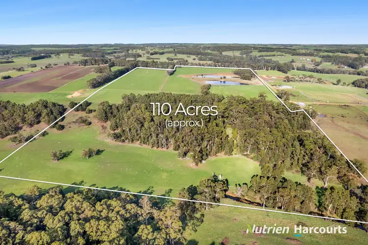 Second view of Homely rural property listing, 39 Noskin Road, Timboon VIC 3268