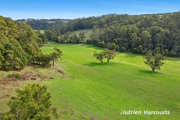 Fourth view of Homely rural property listing, 39 Noskin Road, Timboon VIC 3268