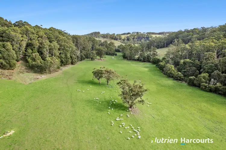 Fifth view of Homely rural property listing, 39 Noskin Road, Timboon VIC 3268