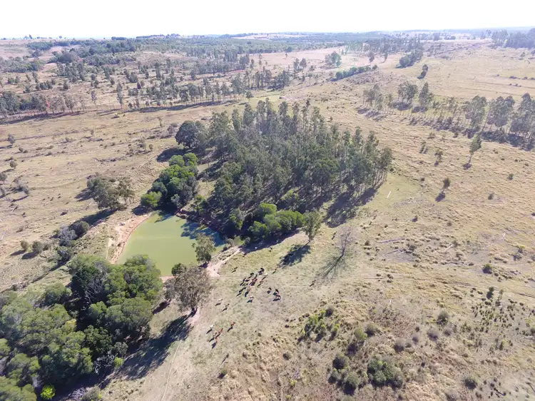 Main view of Homely rural property listing, 1377 Dangore Mountain Road, Dangore QLD 4610