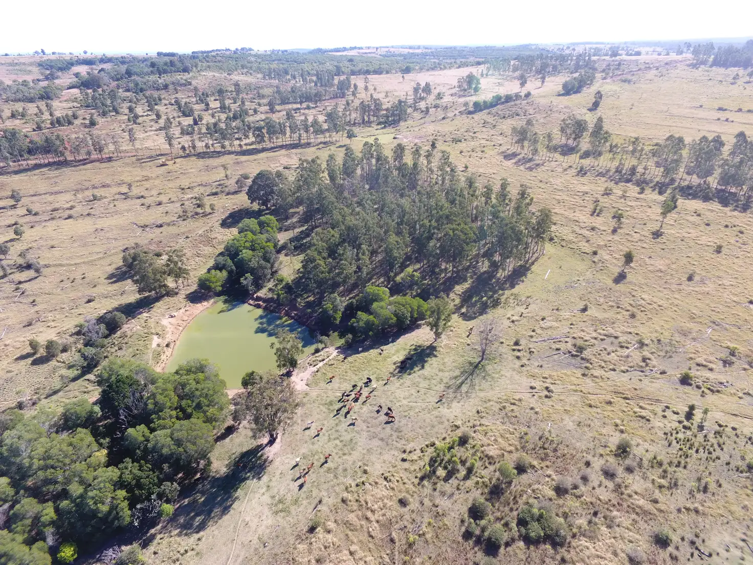 Main view of Homely rural property listing, 1377 Dangore Mountain Road, Dangore QLD 4610