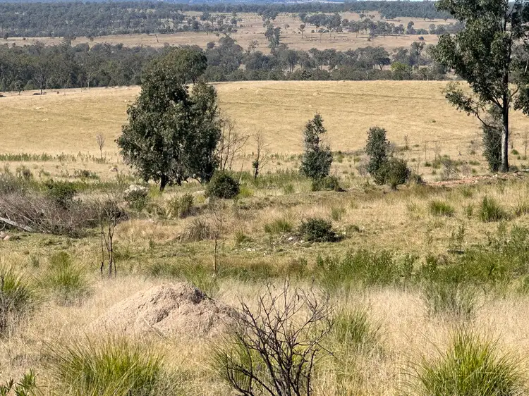 Fifth view of Homely rural property listing, 1377 Dangore Mountain Road, Dangore QLD 4610