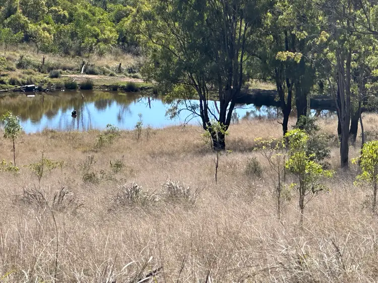Sixth view of Homely rural property listing, 1377 Dangore Mountain Road, Dangore QLD 4610