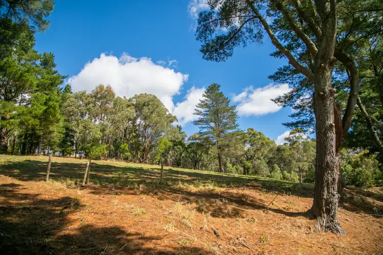 Fifth view of Homely land listing, Lot 1 Onkaparinga Road, Verdun SA 5245