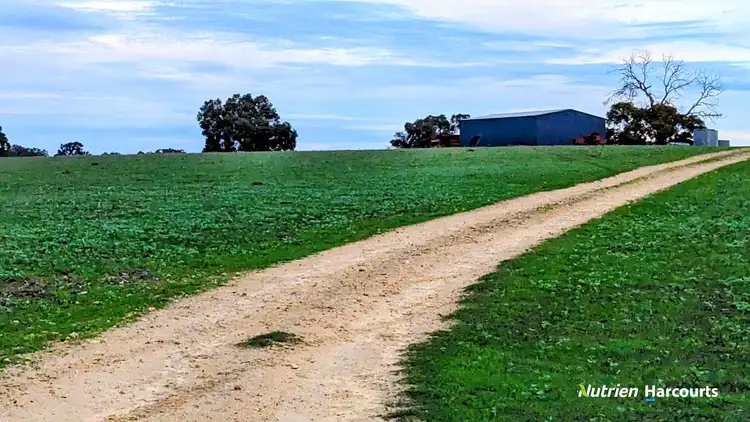 Sixth view of Homely rural property listing, Lot 13 Military Road, Muckenburra WA 6503