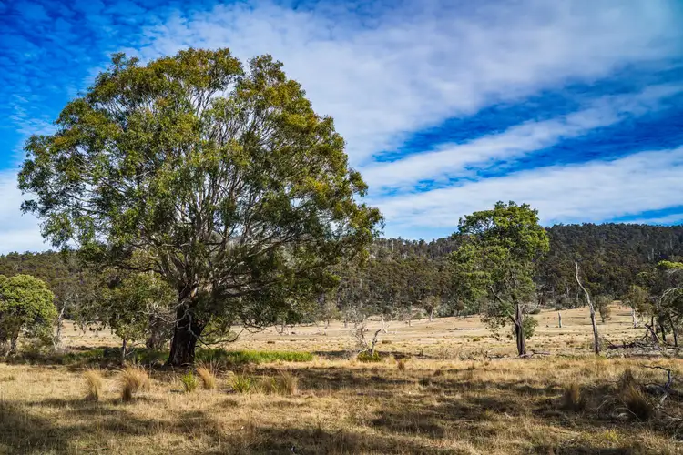 Second view of Homely rural property listing, 1503 Deddington Road, Deddington TAS 7212