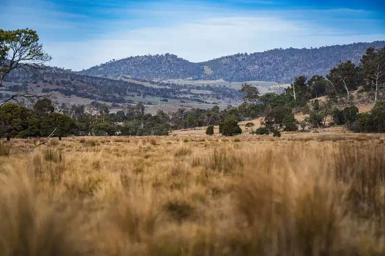 Fourth view of Homely rural property listing, 1503 Deddington Road, Deddington TAS 7212