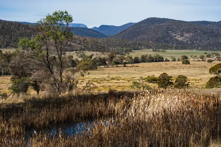 Sixth view of Homely rural property listing, 1503 Deddington Road, Deddington TAS 7212