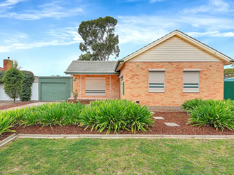 Main view of Homely house listing, 19 Berberis Street, Elizabeth Vale SA 5112