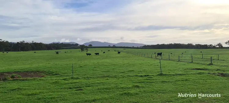 Fifth view of Homely rural property listing, 2003 Settlement Road, Napier WA 6330