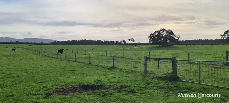Sixth view of Homely rural property listing, 2003 Settlement Road, Napier WA 6330
