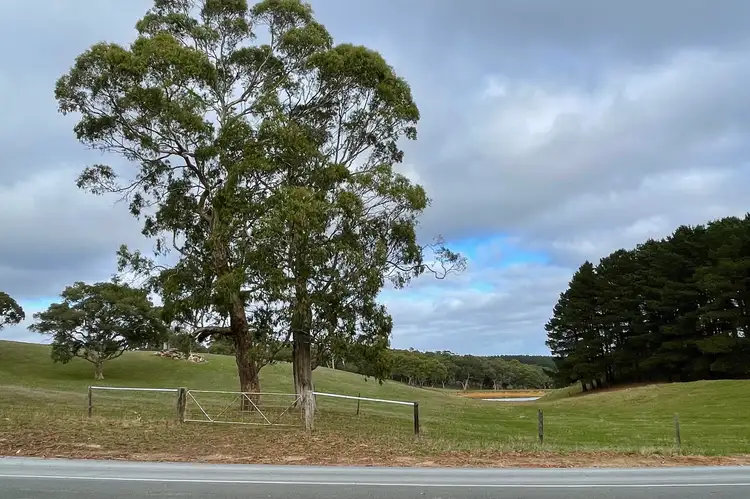 Lot 20 Griggs Avenue, Prospect Hill SA 5201