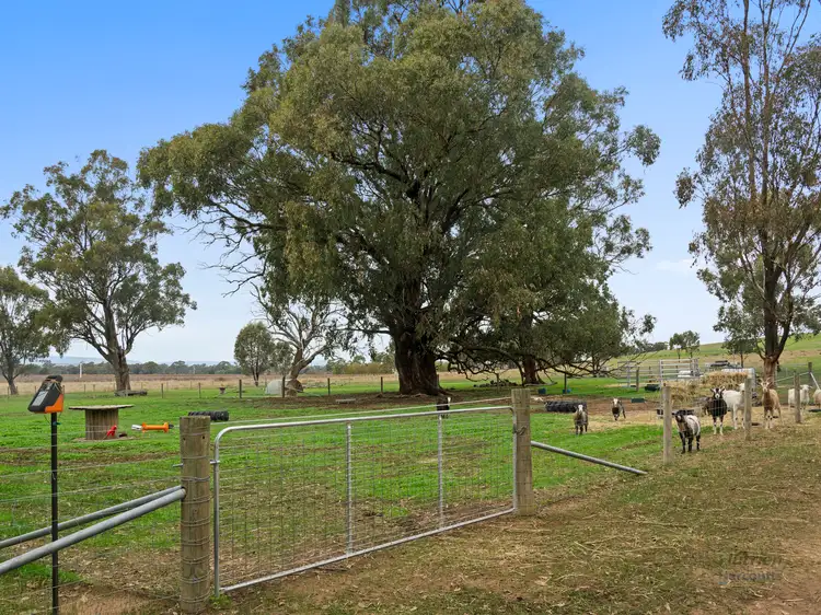 Third view of Homely rural property listing, 0 Avenel-Nagambie Road, Tabilk VIC 3607
