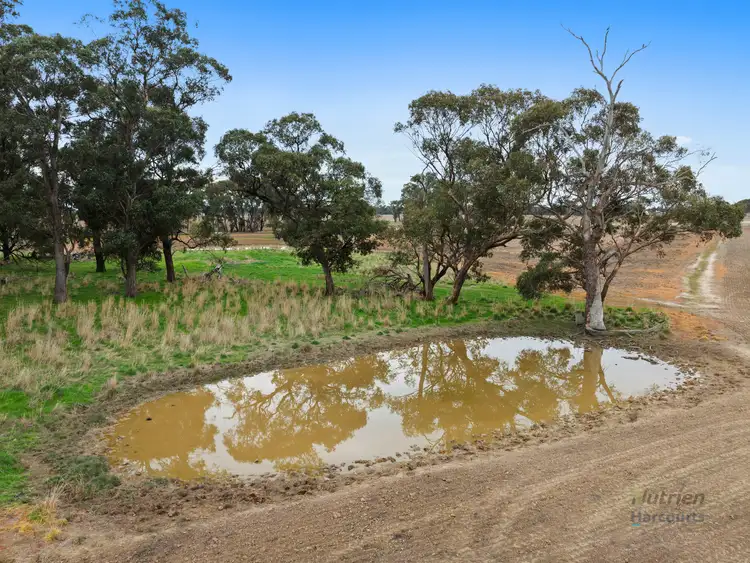Seventh view of Homely rural property listing, 0 Morgans Lane, Tabilk VIC 3607