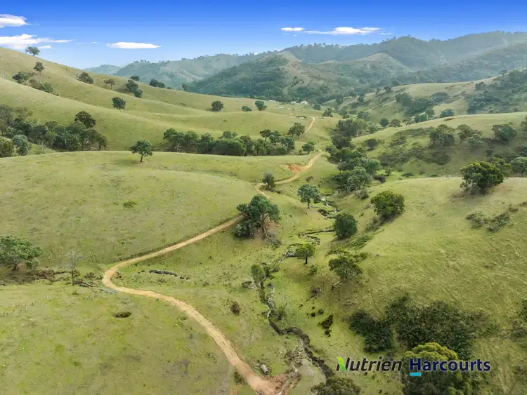 Fourth view of Homely rural property listing, 870 UT Creek Road, Devils River VIC 3714