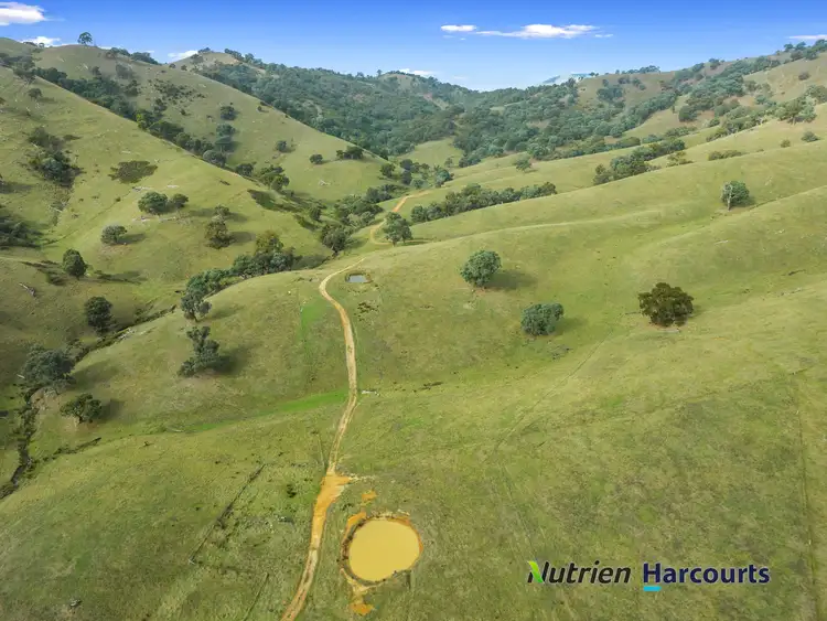 Fifth view of Homely rural property listing, 870 UT Creek Road, Devils River VIC 3714