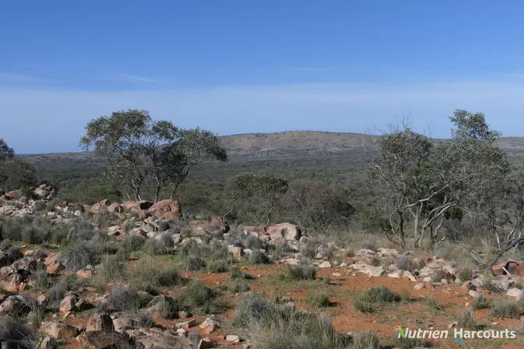 Second view of Homely rural property listing, * Iona, Cobar NSW 2835