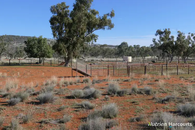 Fifth view of Homely rural property listing, * Iona, Cobar NSW 2835