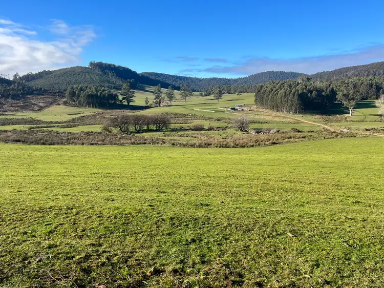 Second view of Homely rural property listing, . Powers Road, Pyengana TAS 7216