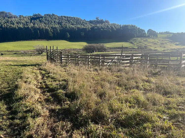 Sixth view of Homely rural property listing, . Powers Road, Pyengana TAS 7216