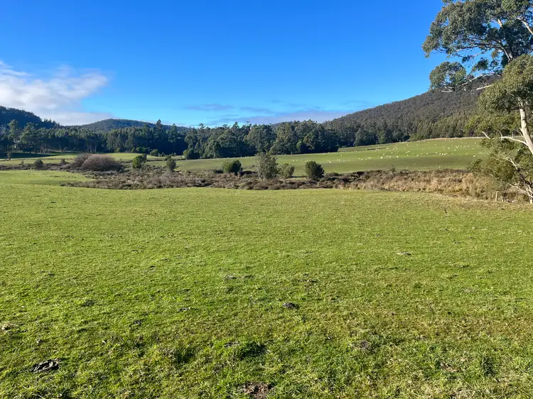 Seventh view of Homely rural property listing, . Powers Road, Pyengana TAS 7216