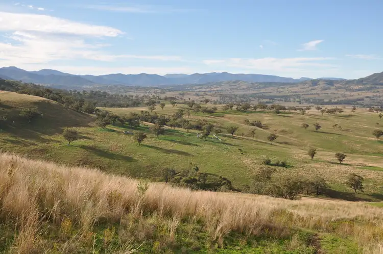 Main view of Homely rural property listing, 'Glenroy' Tyrone Rd, Bunnan via, Scone NSW 2337
