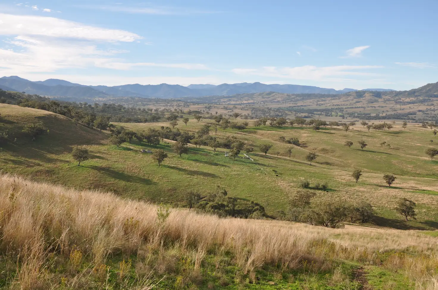 Main view of Homely rural property listing, 'Glenroy' Tyrone Rd, Bunnan via, Scone NSW 2337
