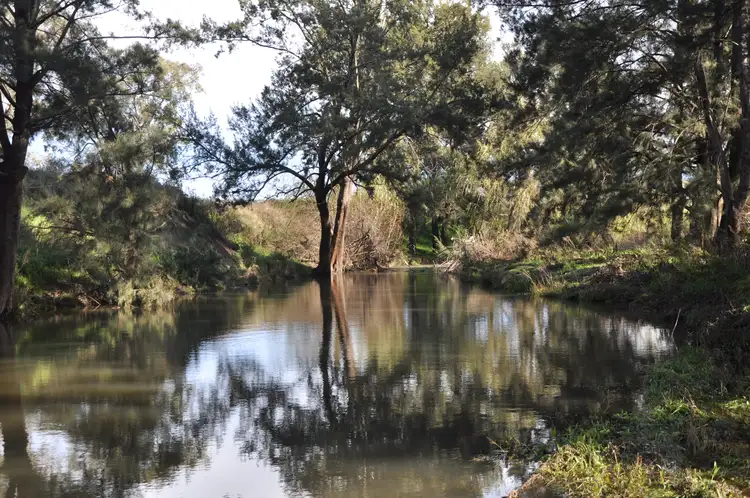 Second view of Homely rural property listing, 'Glenroy' Tyrone Rd, Bunnan via, Scone NSW 2337