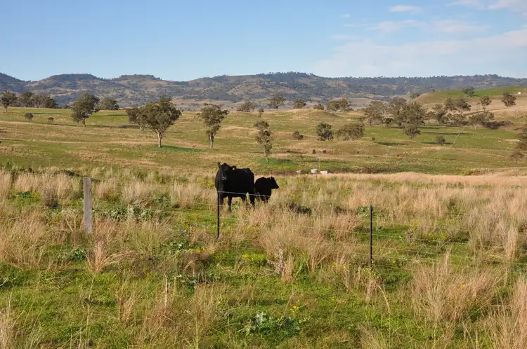 Third view of Homely rural property listing, 'Glenroy' Tyrone Rd, Bunnan via, Scone NSW 2337